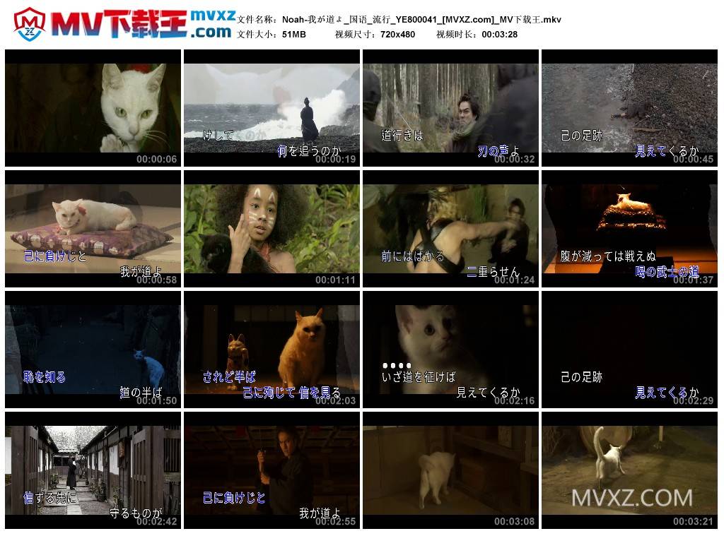 Noah-我が道よ_国语_流行_YE800041